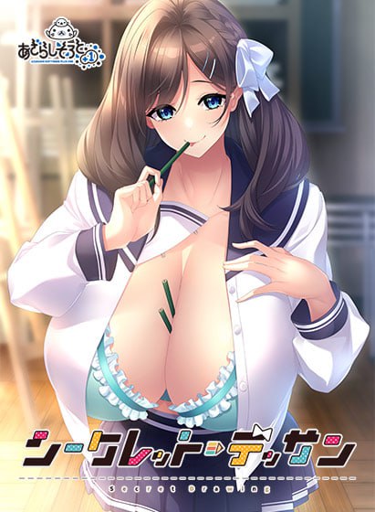 【ADV/AI汉化/全CG存档】秘密素描【电脑/1.4G/CV】