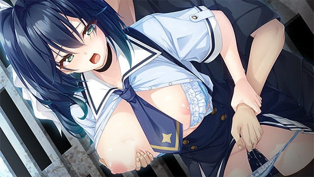 【ADV/AI汉化/CV】废村少女［弐］ ～诱惑阴郁的秘姬之匣~DL版【PC/2.61G】