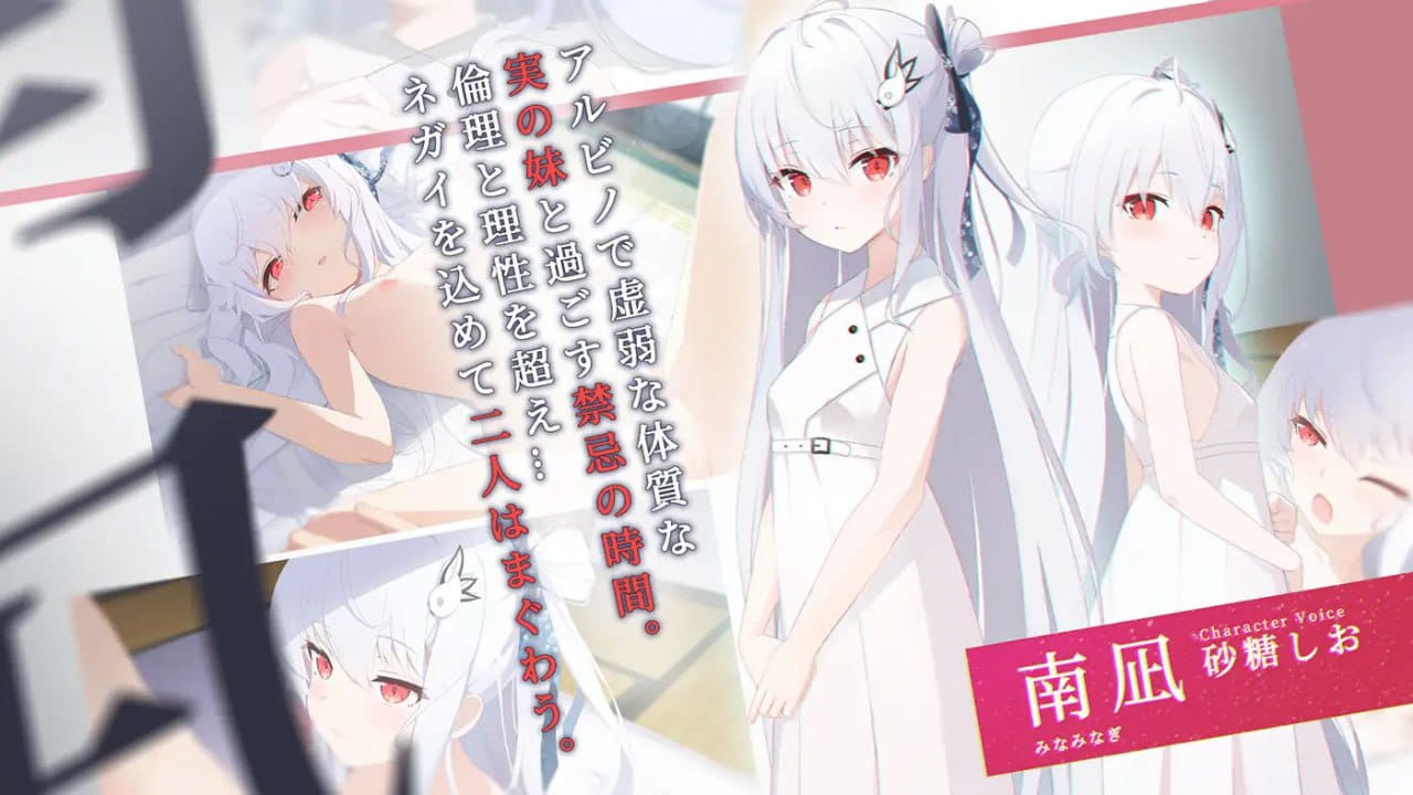 【ADV/精翻汉化/CV】只愿v1.0.1【电脑/1.5G】