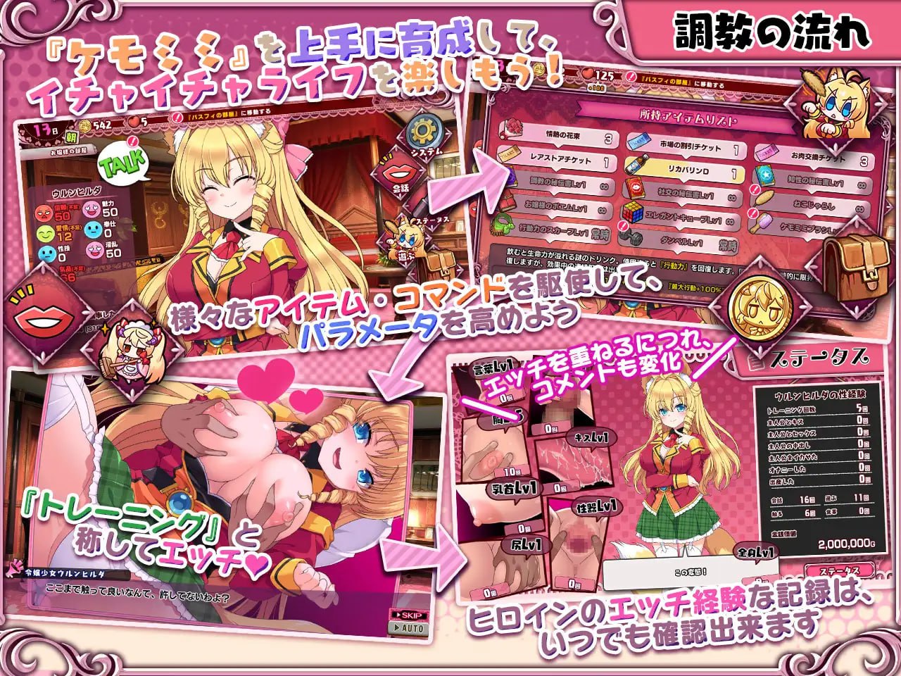 【爆款/SLG/中文/动态/CV】兽耳☆训练 ～狂暴兽耳大小姐的养成～【PC/667M】