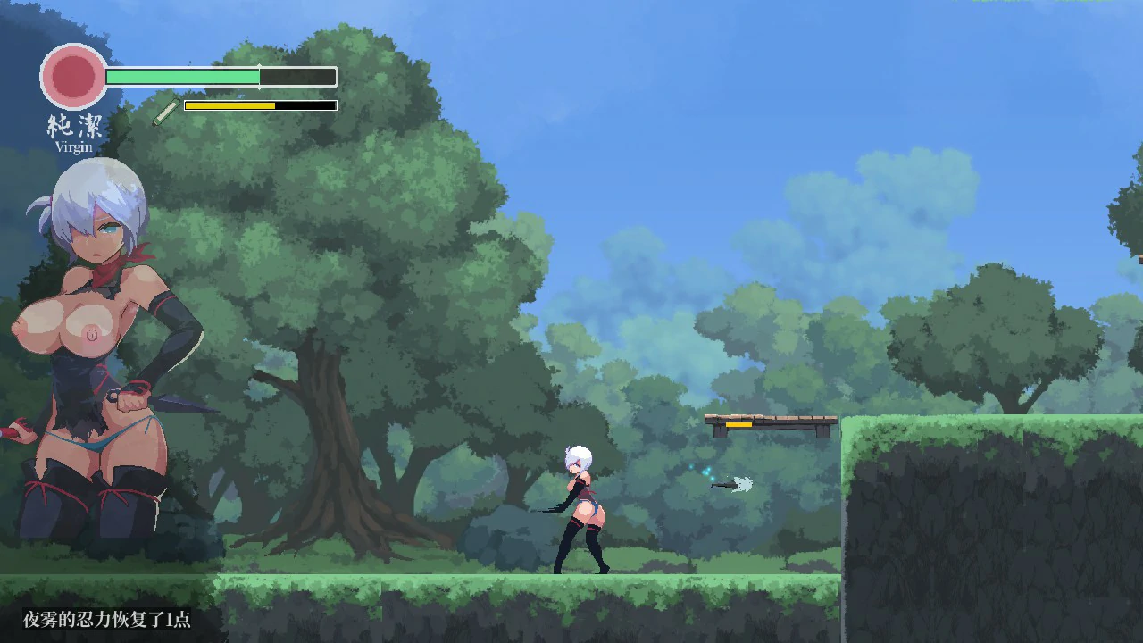 【日系ACT/官中/动作】复仇夜雾 官方中文版【PC/0.45G】復讐の夜霧