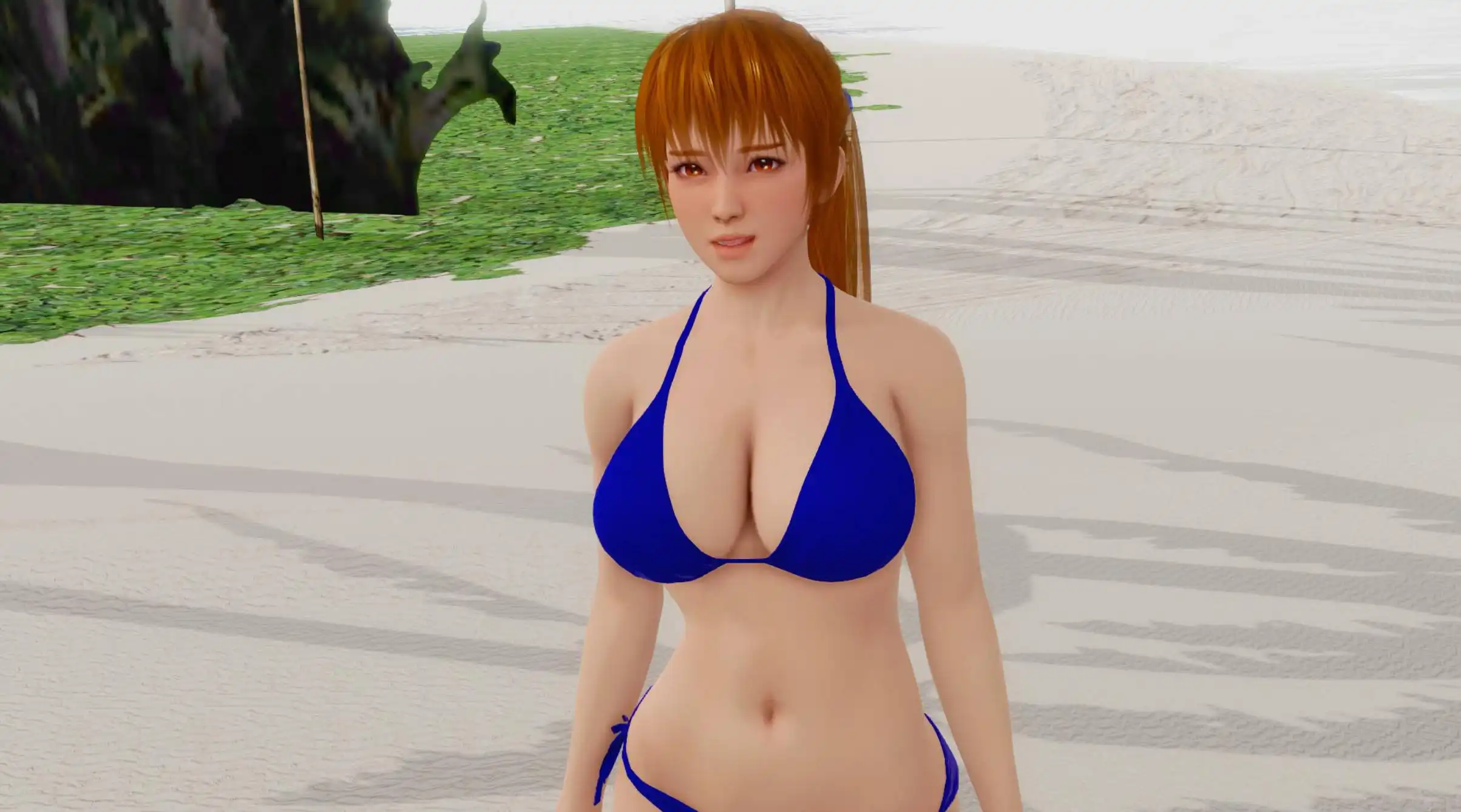 【欧美SLG/汉化/动态】维纳斯岛上的生活0.3汉化版【PC/1.97G/更新】