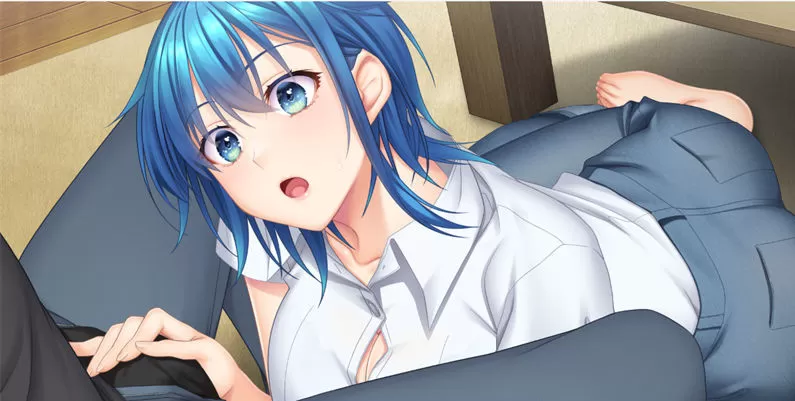 【ADV/AI汉化】下酒菜2～对H姐姐人妻撒娇的超可爱LoveLife～【PC/1.8G】