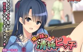 【ADV/AI汉化/全CG存档】我的妹妹是清纯碧池～瞒着父母的秘密性爱生活～【PC/427M】